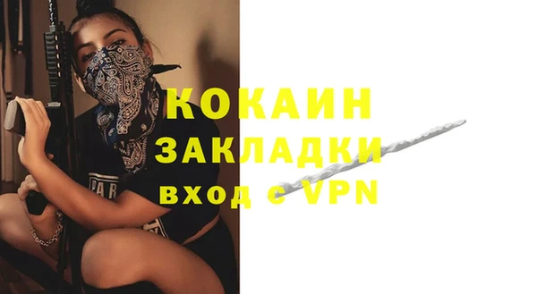 хмурый Лиски