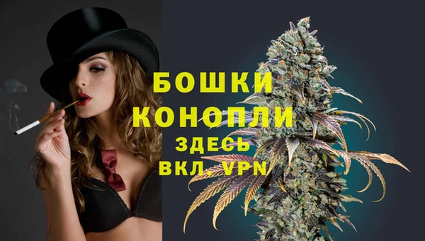 хмурый Лиски