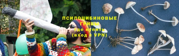 2c-b Лагань