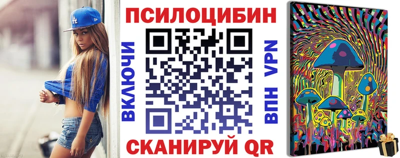 MEGA ТОР  Димитровград  Галлюциногенные грибы прущие грибы 
