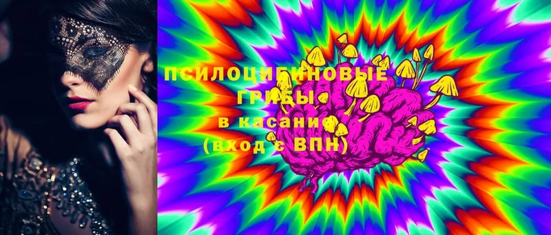 OMG ТОР  Димитровград  Псилоцибиновые грибы Psilocybine cubensis  купить закладку 