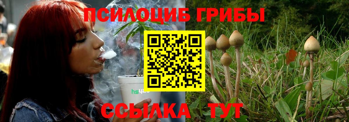 Псилоцибиновые грибы Cubensis  Вход с VPN  Димитровград  наркотики  Галлюциногенные грибы Cubensis 