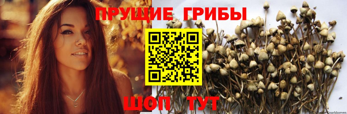 Псилоцибиновые грибы Magic Shrooms  Псилоцибиновые грибы Psilocybe  Димитровград 